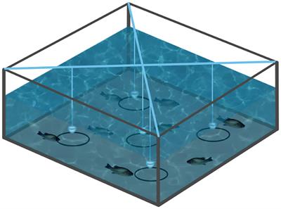 Effects of three feed attractants on the growth performance and meat quality of the largemouth bass (Micropterus salmoides)